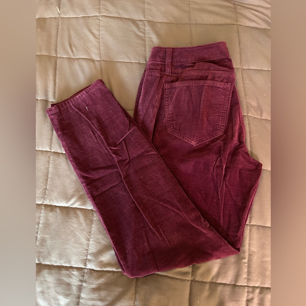 Ann Taylor-Purple Velvet Skinny Pants